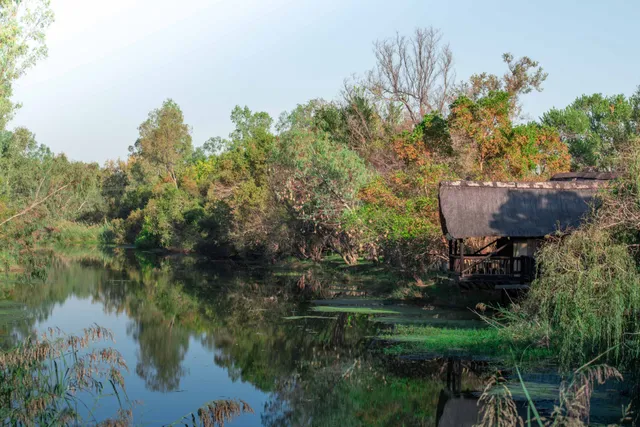 Thatched chalet on the Mokolo River | Vaalwater Rivieroord - Limpopo - Vaalwater - Mokolo River