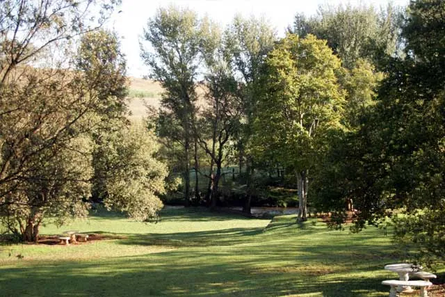 Picnic lawn beside the river | Brookwood Trout Farm - Gauteng - Muldersdrift
