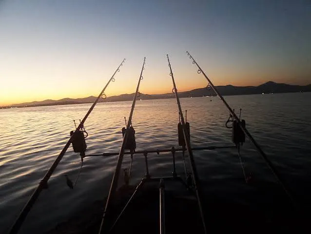 fishing views | Waterworks (Test) - Gauteng - Pretoria