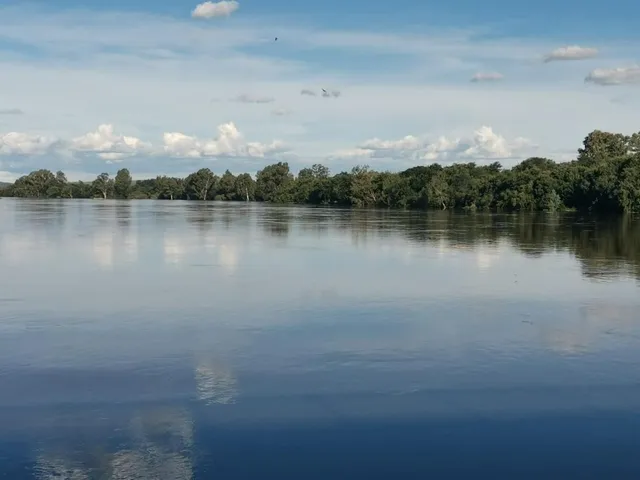 Wide Vaal River view | Scandinavia River Creek - North West - Potchefstroom - Vaal River
