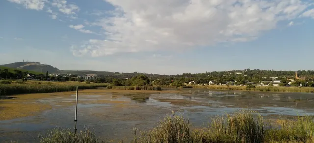 Walking path along the dam | Door De Kraal Dam - Western Cape - Bellville - Door De Kraal Dam