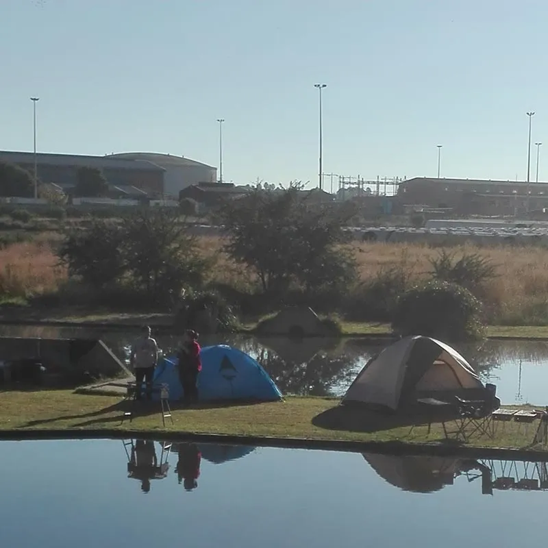 Camping tents on the dam bank | Fun Fishing - Gauteng - Alberton