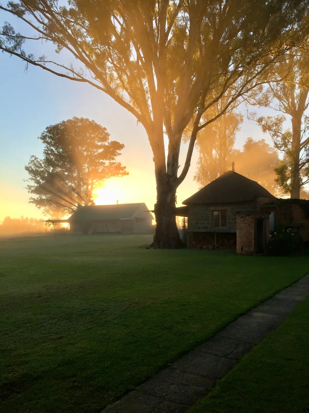 Thatched cottage at sunrise | Dalmore Guest Farm - KwaZulu-Natal - Bergville
