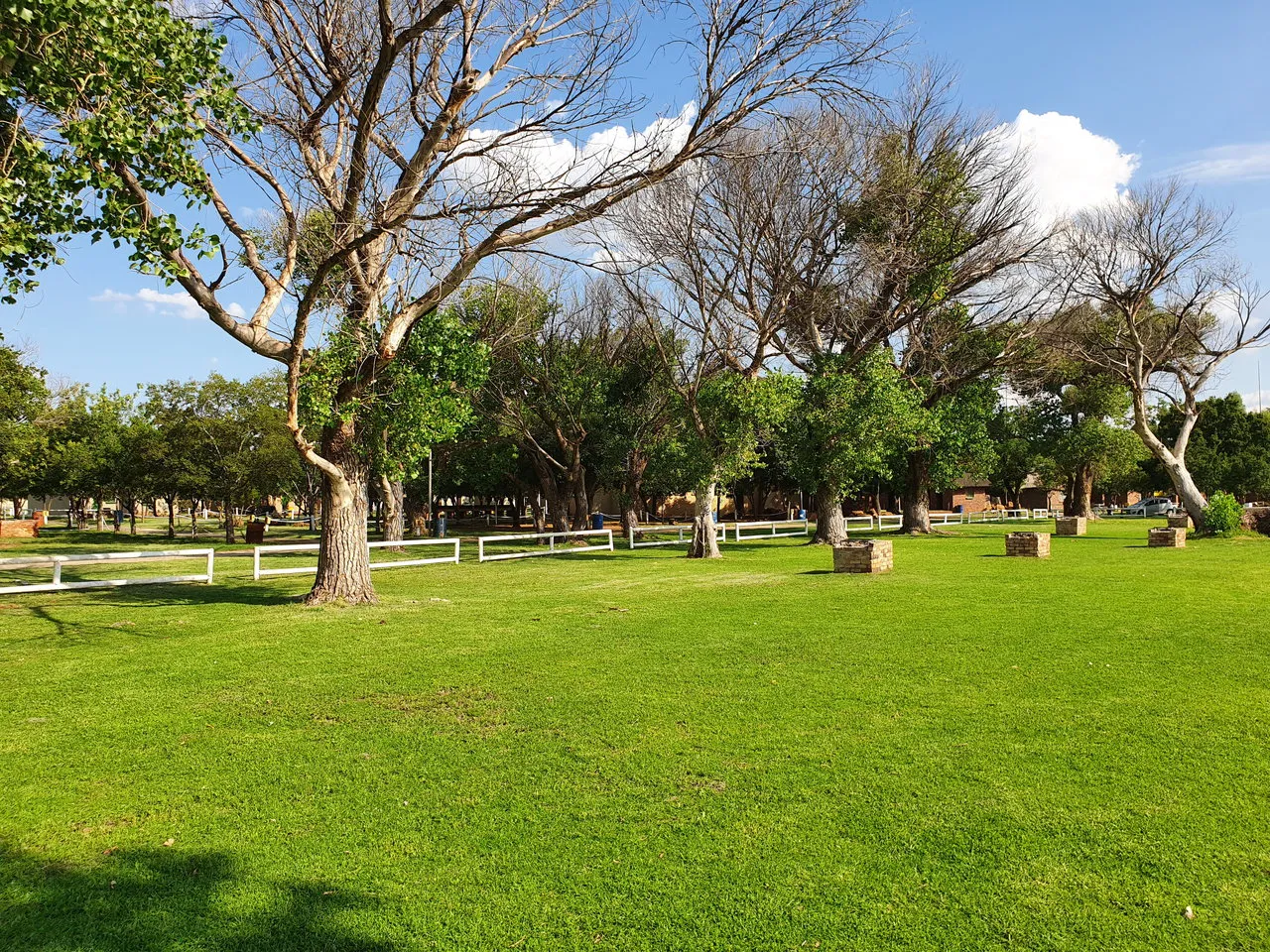 Shaded campsite lawn | Klerksdorp Dam Holiday Resort - North West - Klerksdorp - Klerksdorp Dam