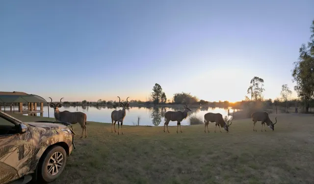 Private farm dam at sunset | Kareefontein Wegbreek - Limpopo - Modimolle