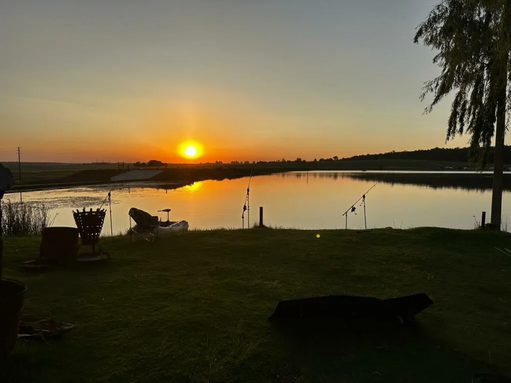 Rod setup at a lake swim | Carp Haven - Gauteng - Bronkhorstspruit - Carp Haven lakes