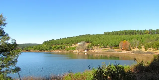Stanford Lake and forest hills | Stanford Lake Lodge - Limpopo - Haenertsburg - Stanford Lake