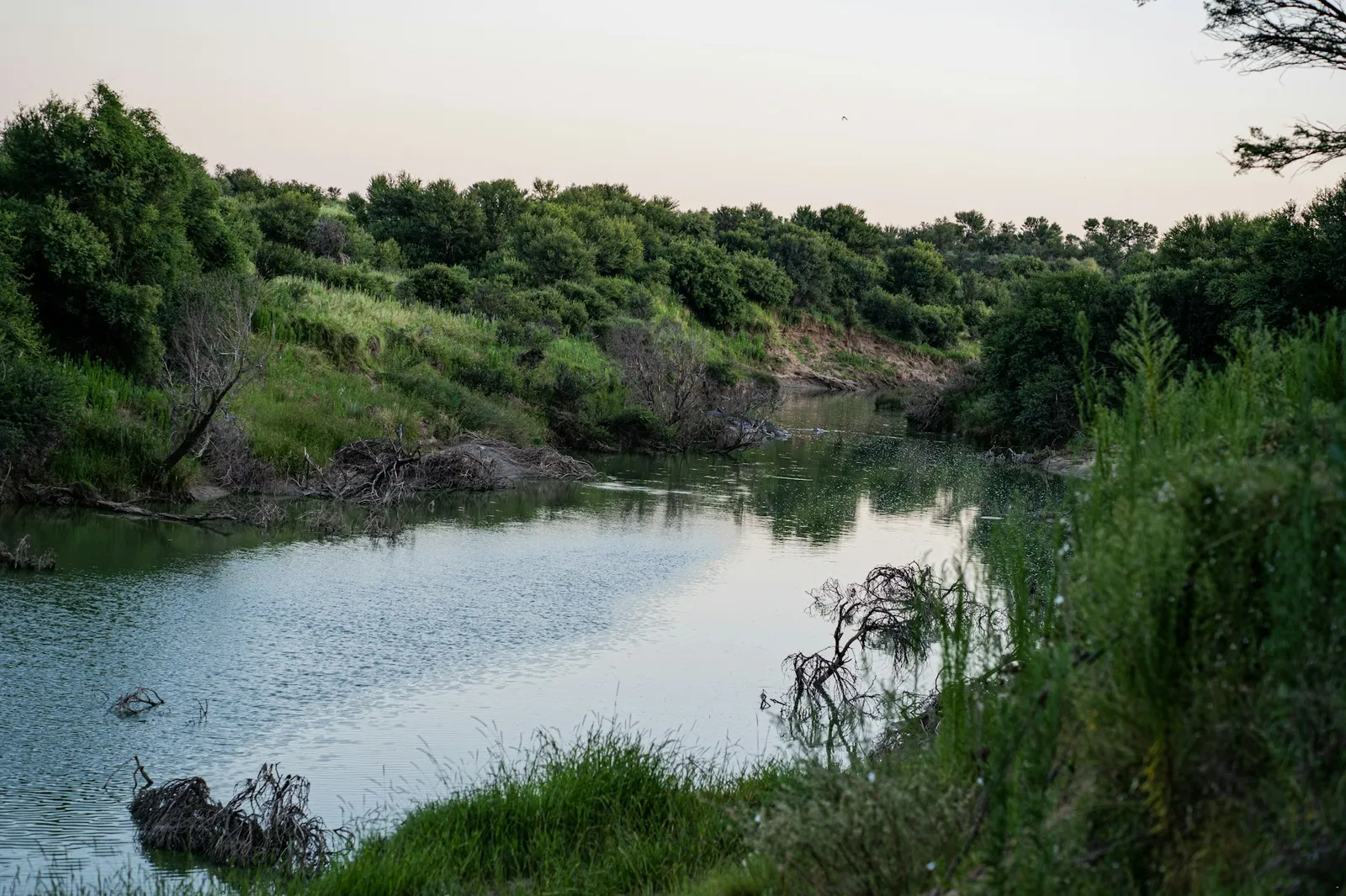 Modder River at the campsite | Visarend Kampterrein - Free State - Bloemfontein - Modder River