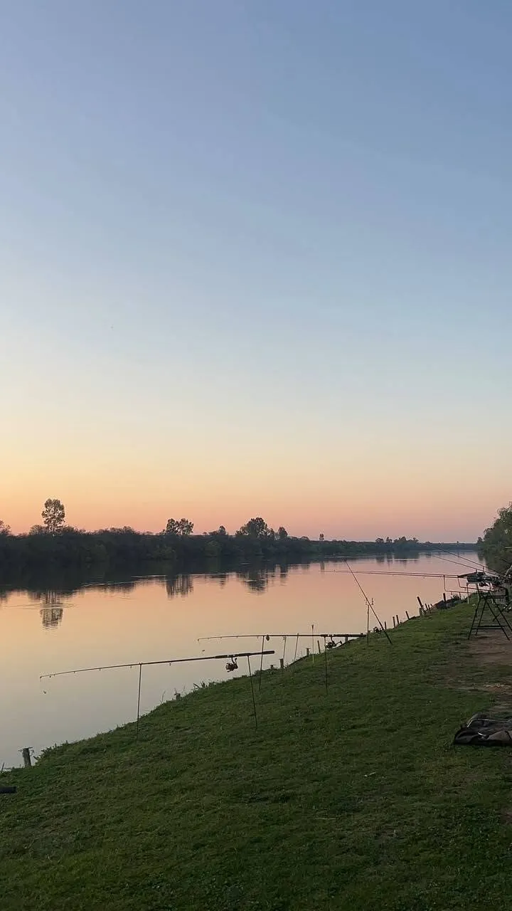 river | Shangri La River Resort - Free State - Viljoenskroon - Vaal River