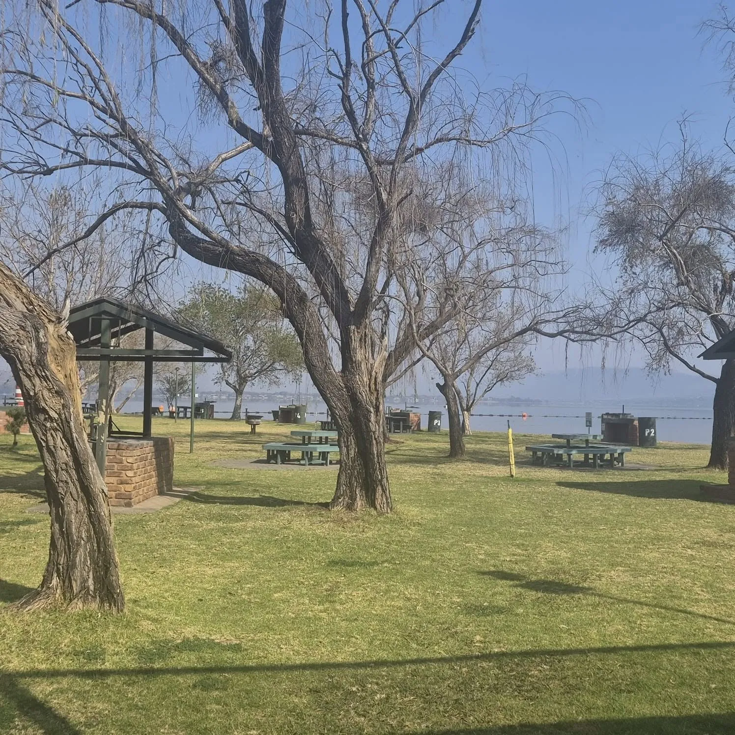 Picnic and braai stands under trees | Ifafi Aquatic Club - North West - Hartebeespoort - Hartbeespoort Dam