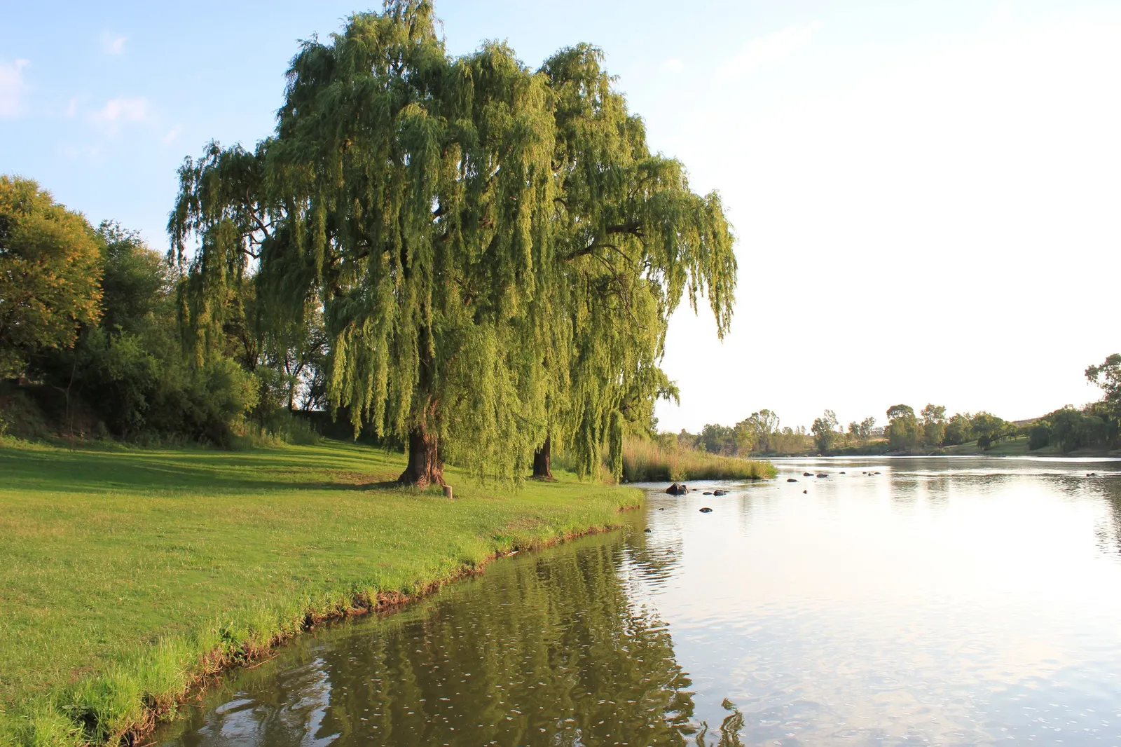 Vaal River frontage | Klein Paradys - Free State - Parys - Vaal River