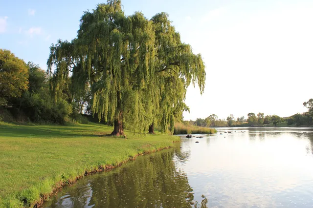 Vaal River frontage | Klein Paradys - Free State - Parys - Vaal River
