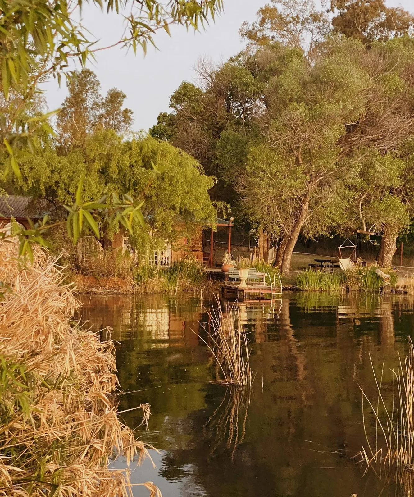 Cottage among trees on the shore | The Boathouse - North West - Potchefstroom - Boskop Dam