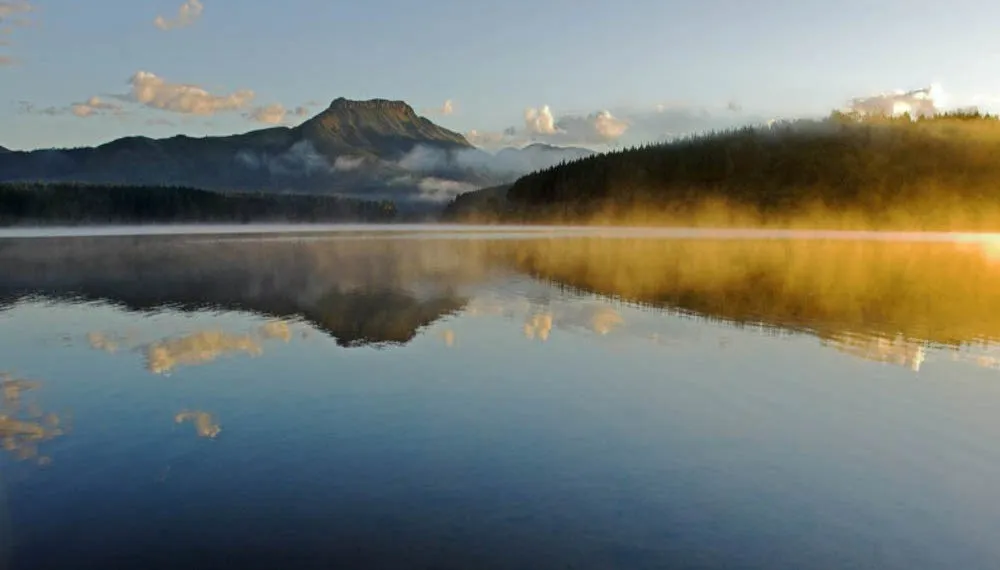 Morning mist over the dam | Maden Dam - Eastern Cape - King William's Town - Maden Dam