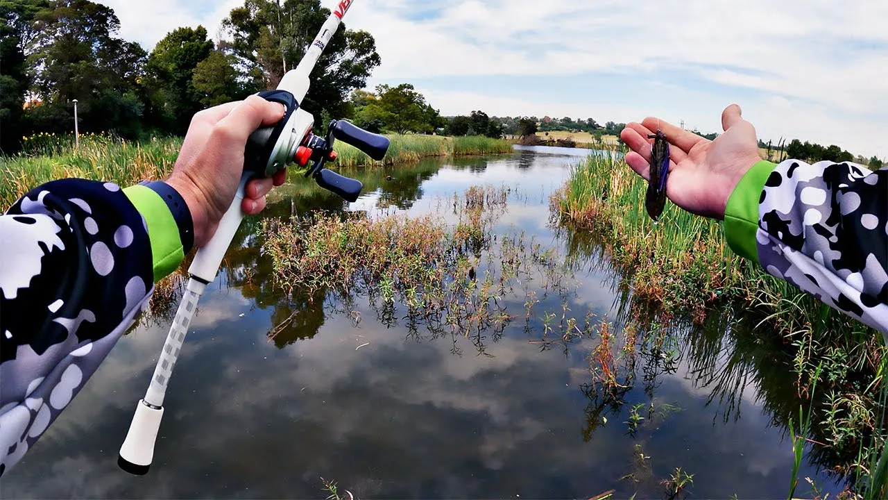 Bass angling at the reed beds | Dowerglen Dam - Gauteng - Edenvale - Dowerglen Dam