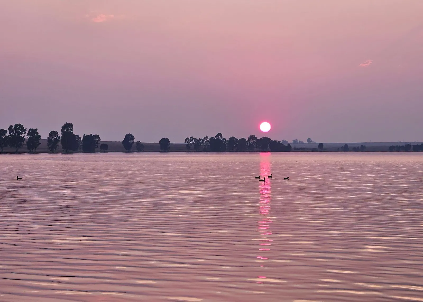 Sunset over the Vaal Dam at Boschkop | Boschkop Vaaldam Oord - Gauteng - Vaal Marina - Vaal Dam