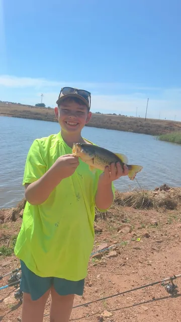 Dam shoreline and open water | Thabo's Dam - Gauteng - Bronkhorstspruit