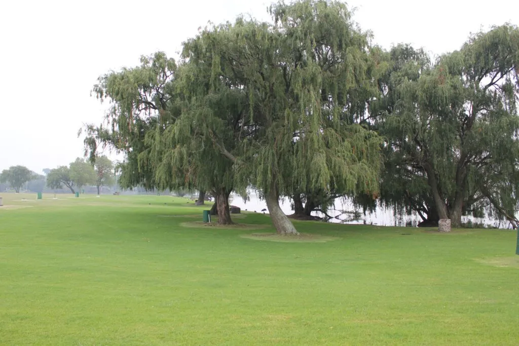Grassy campsites by the water | Trichardtsfontein Dam Resort - Mpumalanga - Secunda - Trichardtsfontein Dam