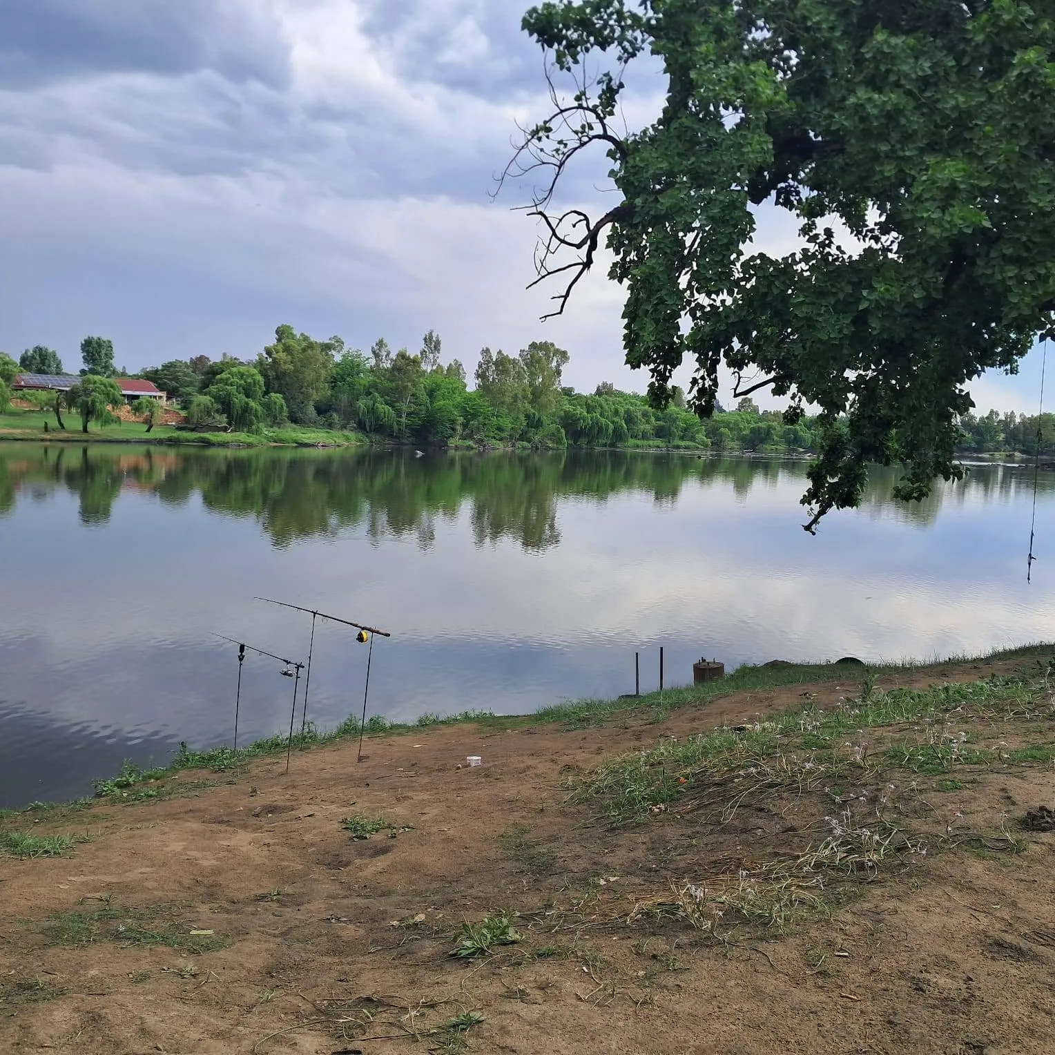 Fishing rods on the Vaal River bank | Vaalrus Vakansie Oord Barage - Gauteng - Barrage - Vaal River